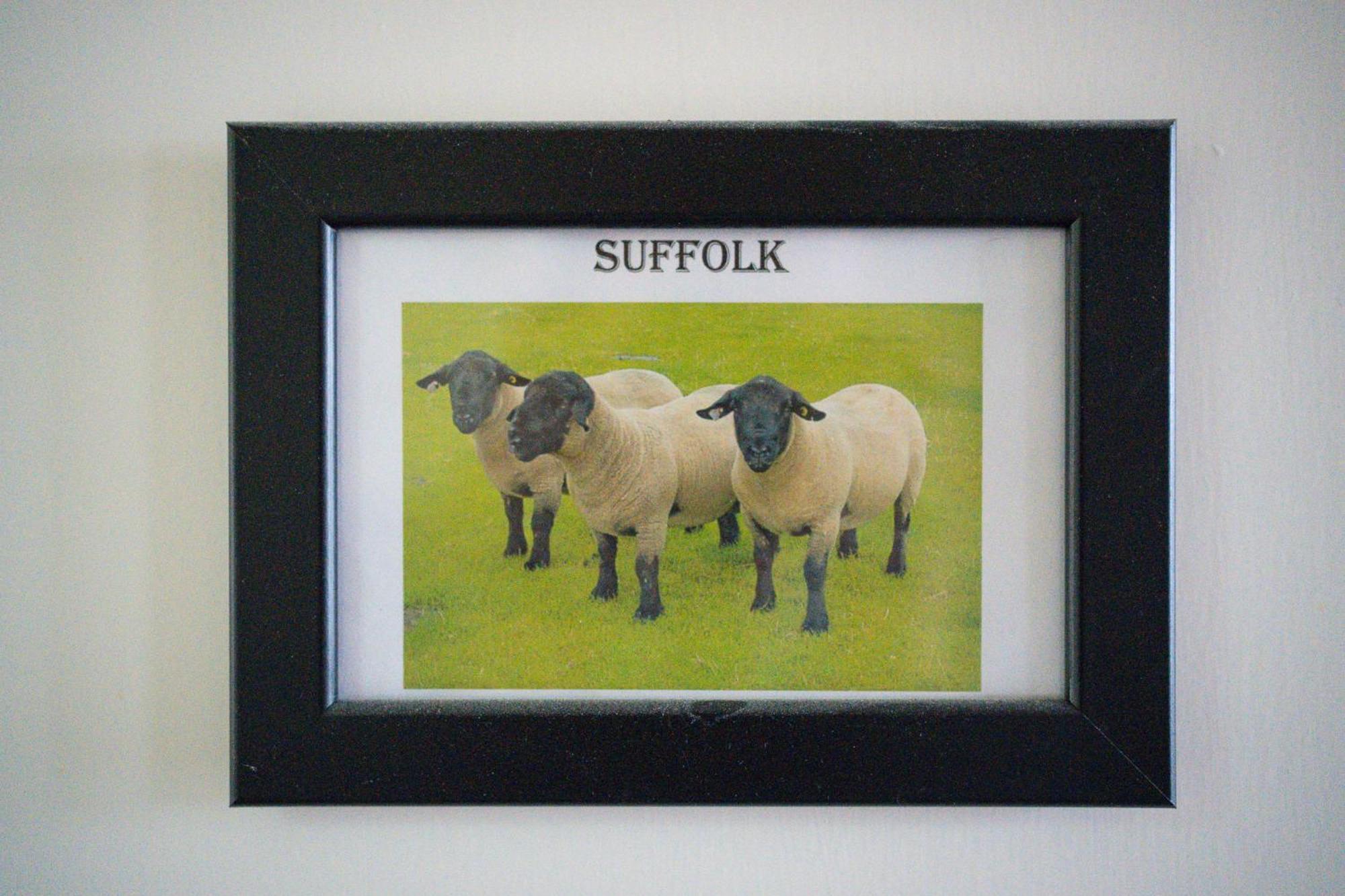 The Shepherds Inn, Langwathby Esterno foto